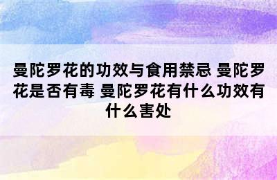 曼陀罗花的功效与食用禁忌 曼陀罗花是否有毒 曼陀罗花有什么功效有什么害处